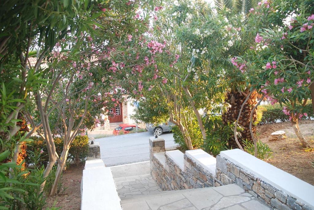 Anthemis Hotel Apartments Agia Paraskevi  Dış mekan fotoğraf